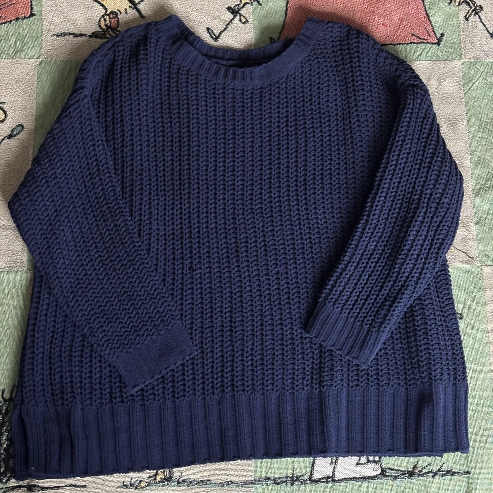 American Eagle Outfitters Navy Blue Crew Neck Sweater